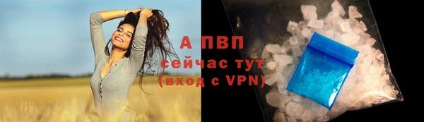 эйфоретик Новокубанск