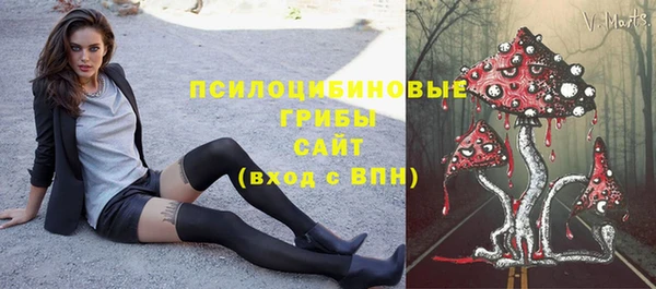 эйфоретик Новокубанск