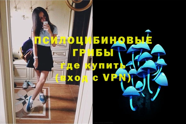 эйфоретик Новокубанск