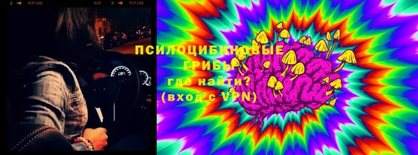 ALPHA PVP Новодвинск