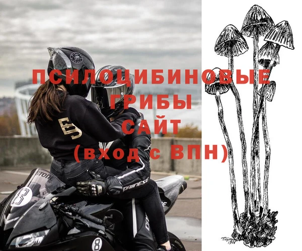 ALPHA PVP Новодвинск